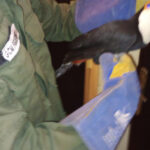 Bandeira Azul para a Sossego