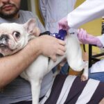 Prefeito de Niterói visita obra da Rotatória de Camboinhas