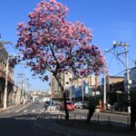 Eletricista acusado de estupro de vulnerável é preso em Niterói