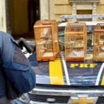 Axel Grael e Rodrigo Neves iniciam o trabalho do gabinete de transição