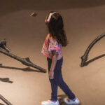 Niterói realiza 2ª Conferência Municipal dos Direitos da Pessoa Idosa