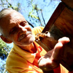 A Bela e a Fera é destaque na programação da Sala Nelson