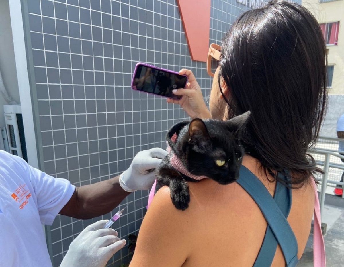 Campanha de vacinação antirrábica animal chega à Zona Norte de Niterói no próximo sábado