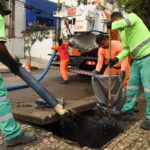 Niterói teve pelo menos 50 tartarugas mortas em praias em três meses