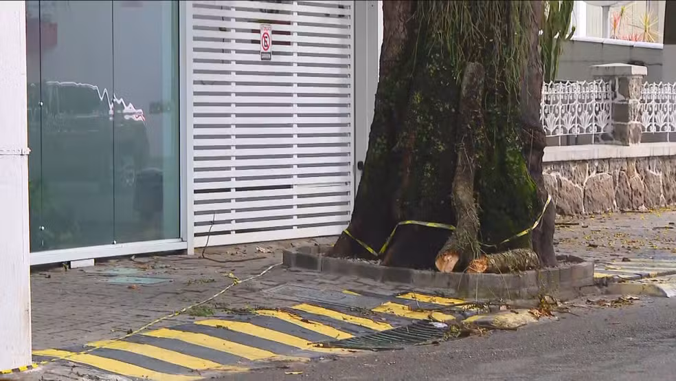 Idosa morre após ser atingida por galho de árvore em Icaraí, em Niterói