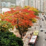 Niterói lidera ranking de saneamento no estado do Rio de Janeiro