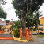 Policlínica Malu Sampaio recebe mamógrafo e amplia acesso a exames para a população